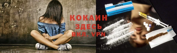 ешки Алексеевка