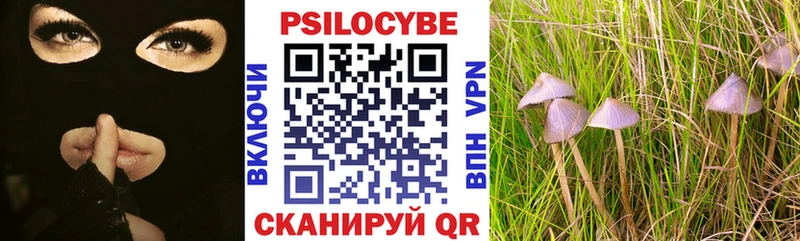 Псилоцибиновые грибы Psilocybe  Кимры 